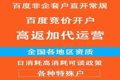 行业领先企业的SEM广告策略与效果分析